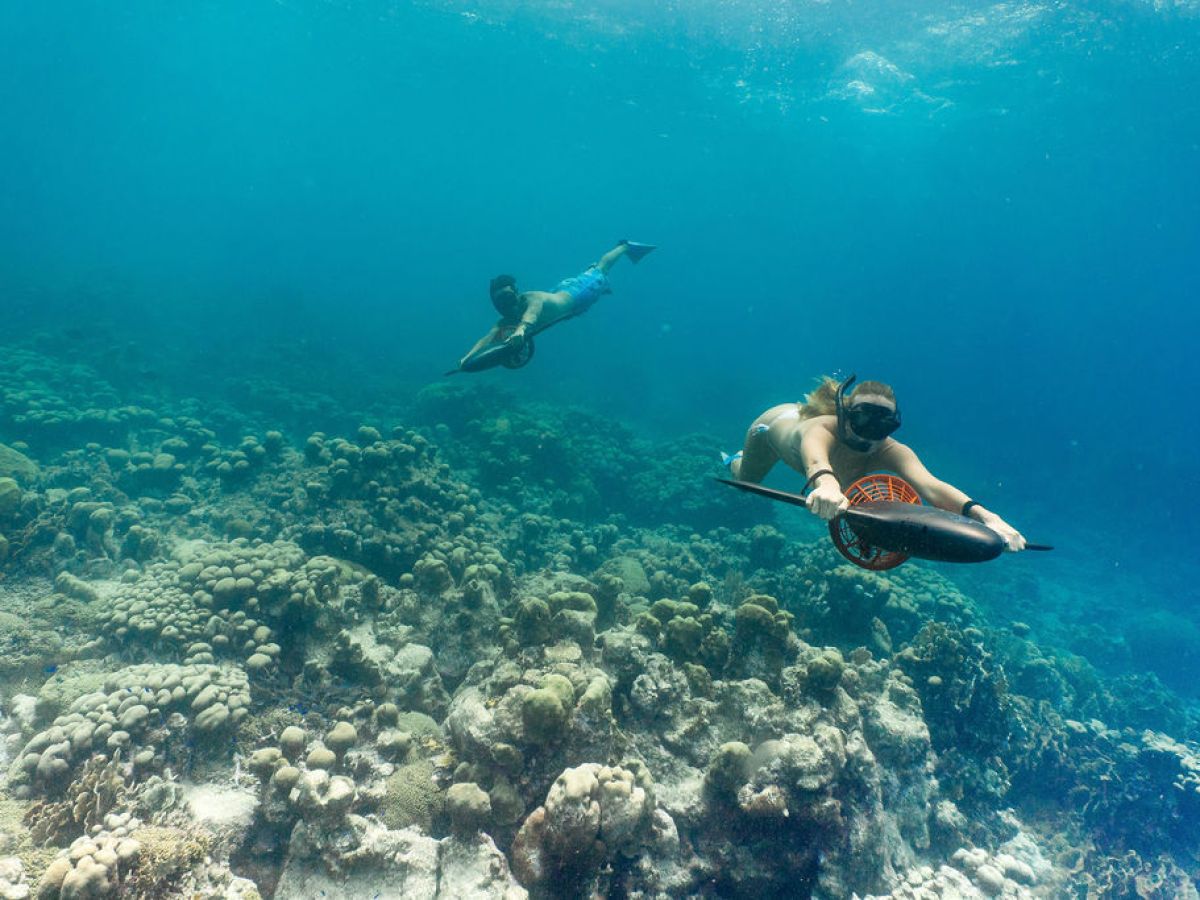 underwater view of the ocean