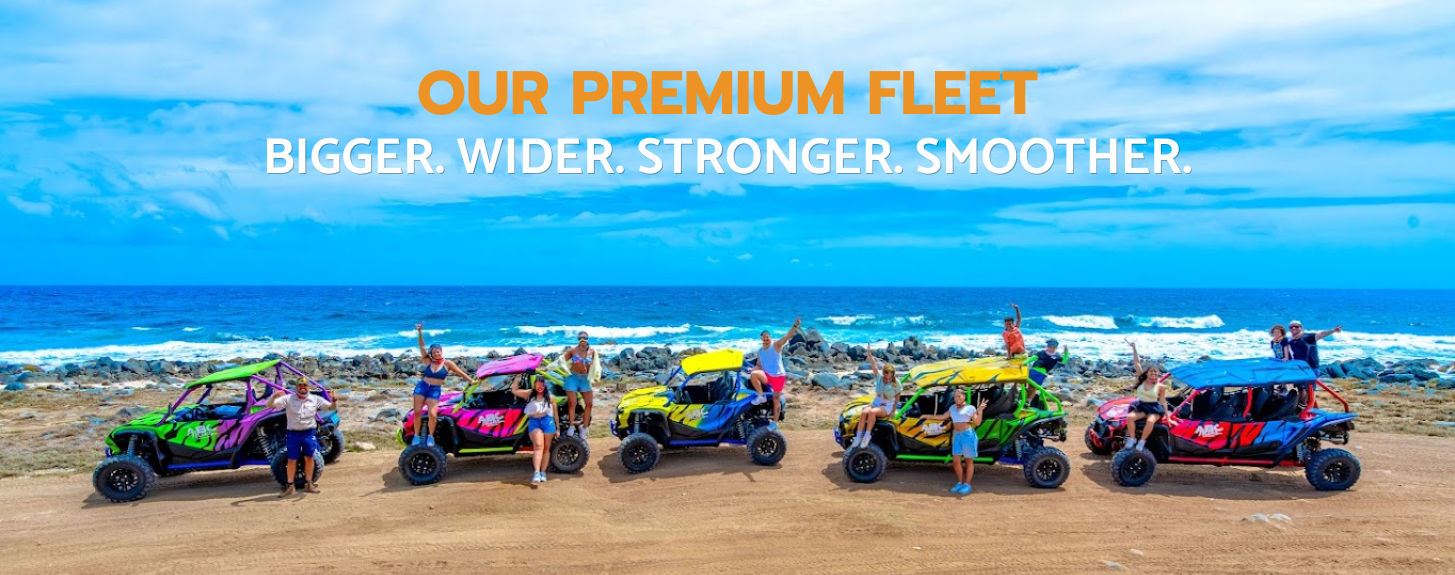 Colorful off-road vehicles parked by the ocean under a blue sky.