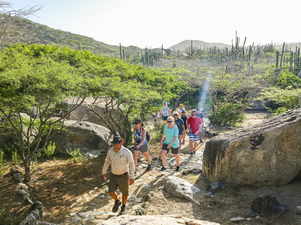 Group hiking on a rocky desert trail with cacti and trees.