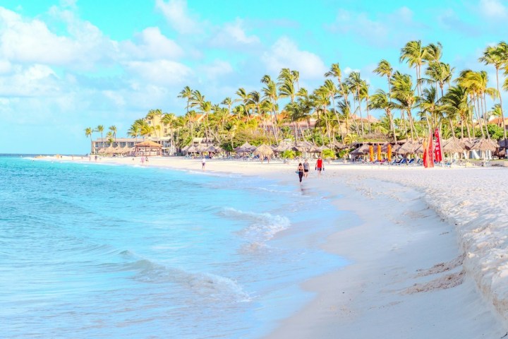 Tropical beach with palm trees, white sand, and gentle waves under a blue sky.